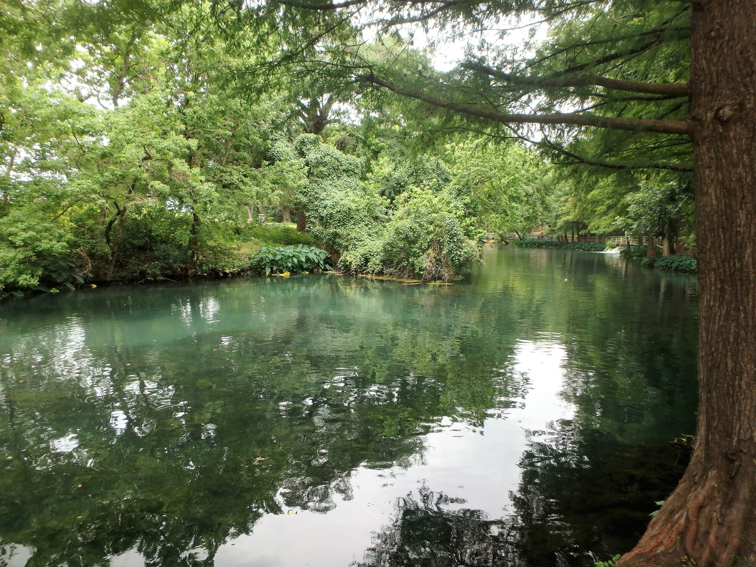Best places to live in New Braunfels