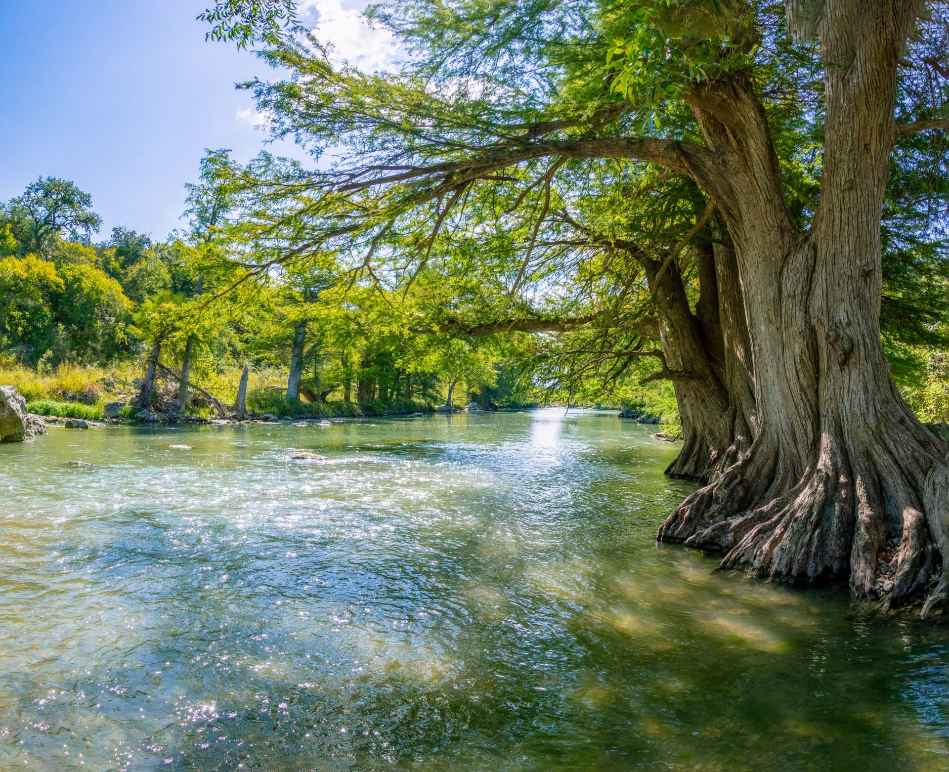 A sunlit bend in the Guadalupe River